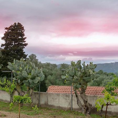 Kanakades Village House Corfu  Exterior photo