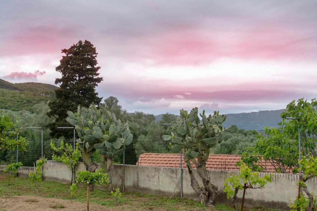 Kanakades Village House Corfu  Exterior photo